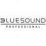 Bluesound Professional