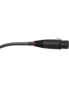 WIREWORLD Equinox 10 XLR Interconnect Cables