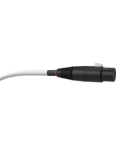 WIREWORLD Solstice 10 XLR Interconnect Cables