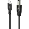 AUDIOQUEST Carbon USB-C to USB-B Cable
