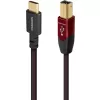 AUDIOQUEST Cinnamon USB-C to USB-B cable