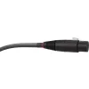 WIREWORLD Equinox 10 XLR Interconnect Cables