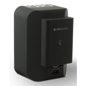 BLUESOUND BP100 Battery Pack for Pulse Flex