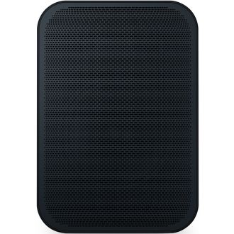 BLUESOUND PULSE FLEX 2I Wi-Fi Speaker