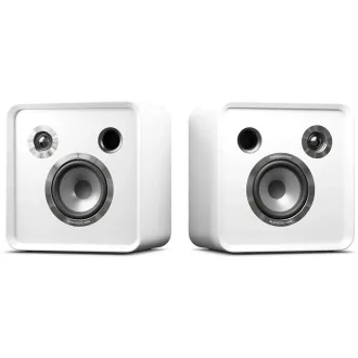 EVERSOLO SE100 Passive Speakers