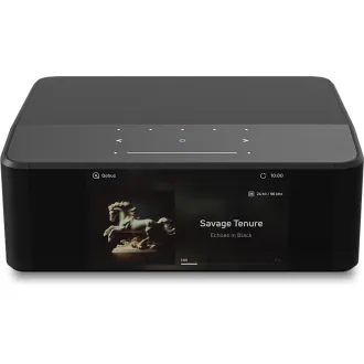BLUESOUND Node Icon N530