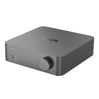 WIIM Vibelink Amp